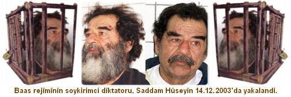 Saddam_Huseyin_Ox6.jpg