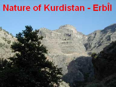 Nature_of_Kurdistan - Erbil_5.jpg