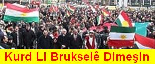 Mesa_Kurd_Bruksele_2.jpg