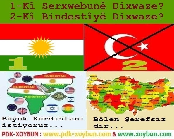 1-Ki_Serxwebune_Dixwaze_2-Ki_Bindestiye_Dixwaze_1.jpg