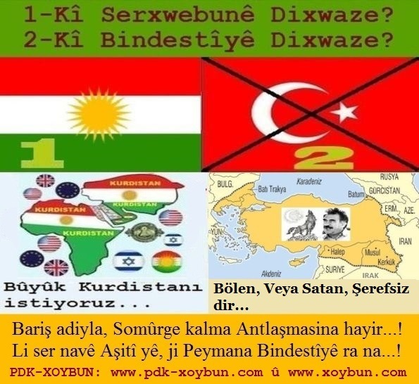 Nexshe_Kurdistane_u_Nexshe_Tirkiye_4.jpg