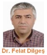 Felat_Dilges_1.jpg