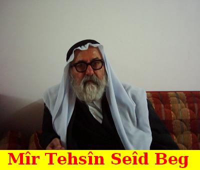 Mir_Tehsin_Beg_531.jpg