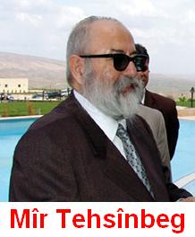 Tehsinbeg.jpg