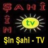 Shin_Shahi_TV_5.jpg
