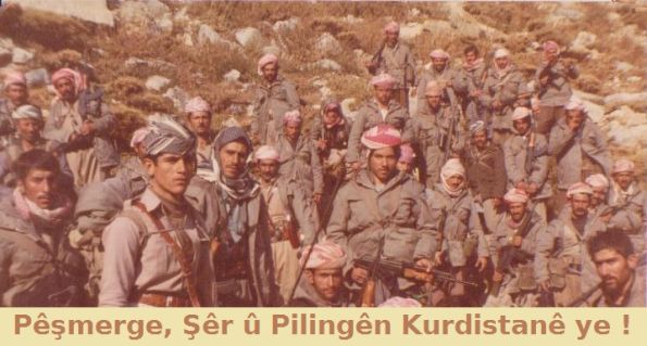 Peshmerge_Sheren_Kurdistane_4.jpg