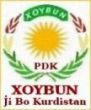 PDK_XOYBUN_Nu_c2.jpg
