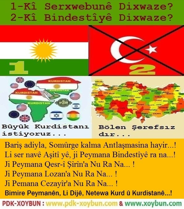 1-Ki_Serxwebune_Dixwaze_2-Ki_Bindestiye_Dixwaze_3.jpg