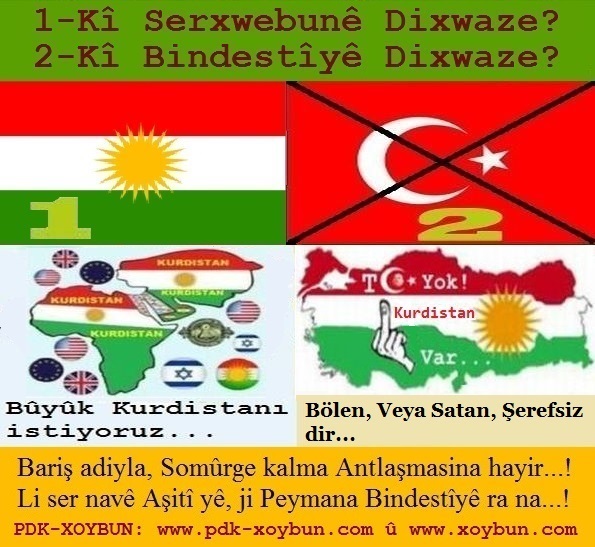 1-Ki_Serxwebune_Dixwaze_2-Ki_Bindestiye_Dixwaze_5.jpg