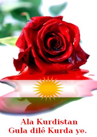 Ala_Kurdistan_Gula_Me_3.jpg