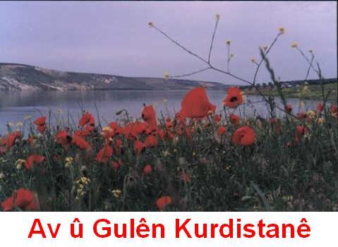 Avu_Gulen_Kurdistane.jpg