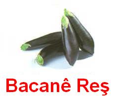 Bacane_Res.jpg