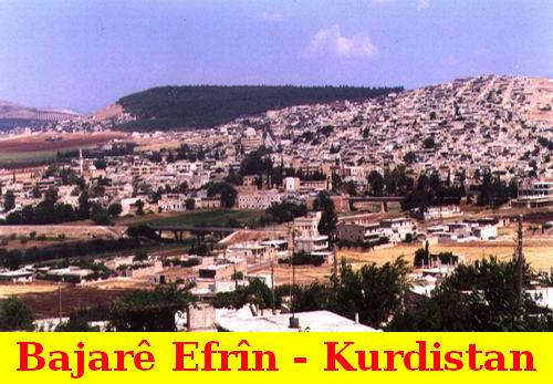 Bajare_Efrin_0077.jpg