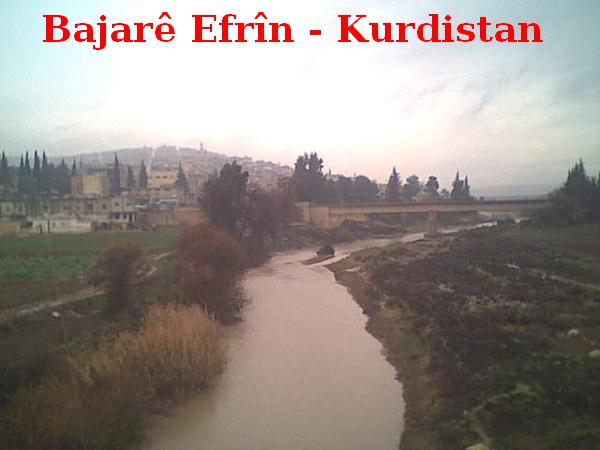 Bajare_Efrin_0078.jpg