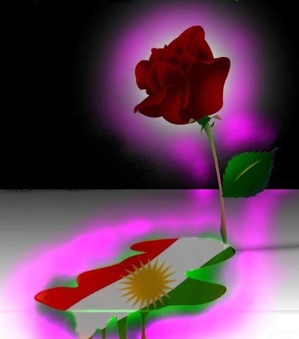 Biji_Kurdistan_0x7.jpg