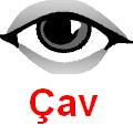 Cav_2.jpg