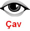 Cav_3.jpg