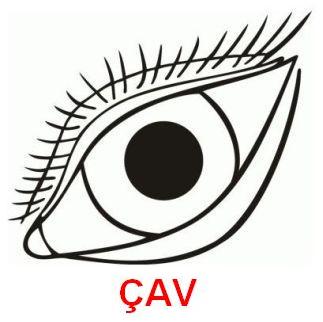 Cav_5.jpg