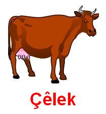 Celek.jpg
