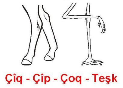 Coq_Tesk.jpg