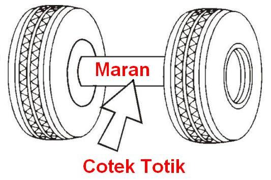 Cotek_Totik.jpg