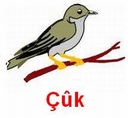 Cuk_00100.jpg