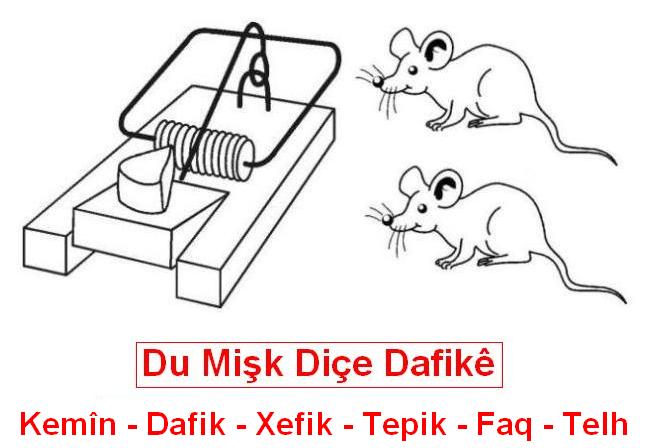 Dafik.jpg