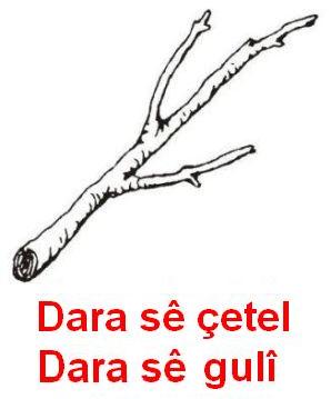 Dara_Seguli_1.jpg