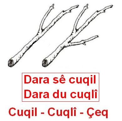 Dara_Seguli_2.jpg