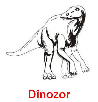 Dinozor.jpg