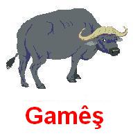 Games.jpg