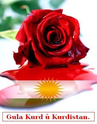 Gula_Kurdistan_xv_2.jpg