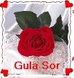Gula_Sor_xy1..jpg
