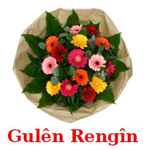 Gule_Rengin_1.jpg