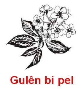 Gulen_Bipel.jpg