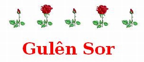 Gulen_Sor_x2.jpg