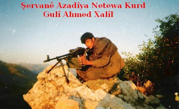 Guli_Ahmed_Xalil_x1.jpg
