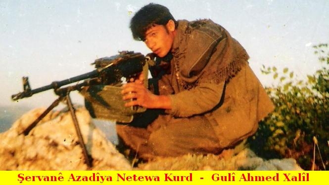 Guli_Ahmed_Xalil_x2.jpg