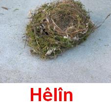 Helin_6.jpg