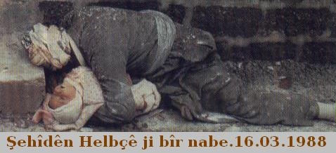 Jenosida_Helebce_xc3.jpg