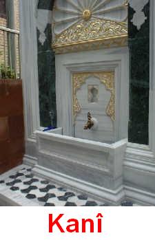 Kani_3.jpg