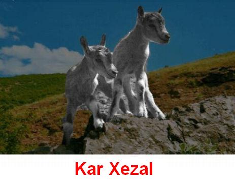Kar_Xezal.jpg