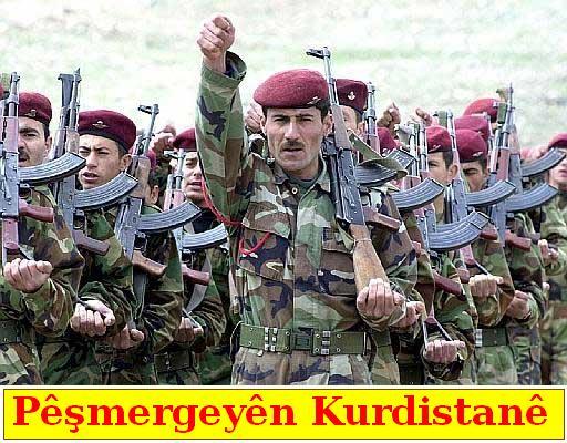 Kurdi_Esercito_1.jpg