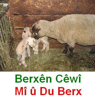 Mi_u_Bex_2.jpg