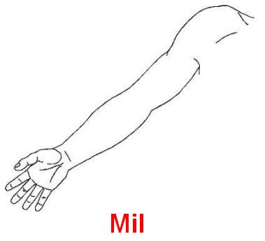 Mil.jpg