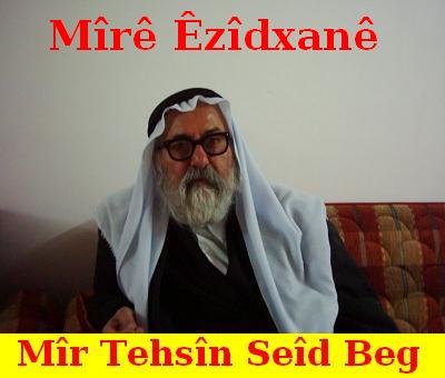 Mir_Tehsin_Beg_533.jpg