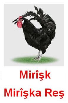 Miriska_Res.jpg