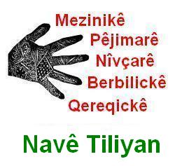Nave_Tiliyan_1.jpg