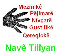 Nave_Tiliyan_2.jpg