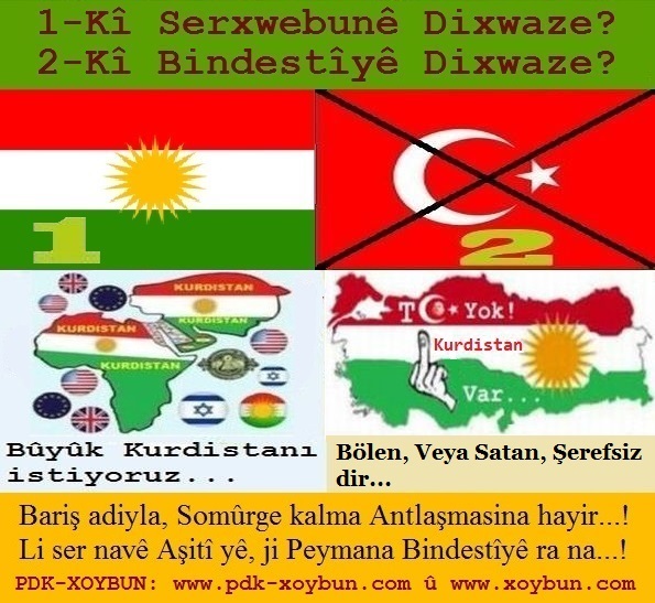 Nexshe_Kurdistane_u_Nexshe_Qasho_Tirkiye_1.jpg